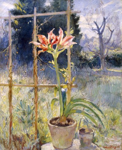 Amaryllis by Umberto Moggioli
